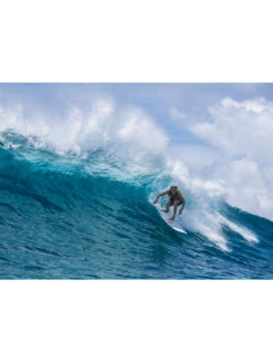 TORQ TET 8'0" LONG WHITE + PINLINE -Quiksilver Surfing Store torq tet 8 0 longboard white pinline 6